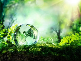 Microbial environmental monitoring