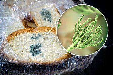 Food and beverage microbiological testing