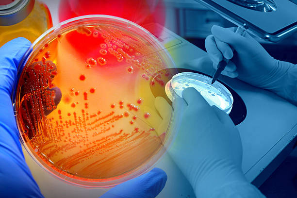 Pharmaceutical microbiological testing