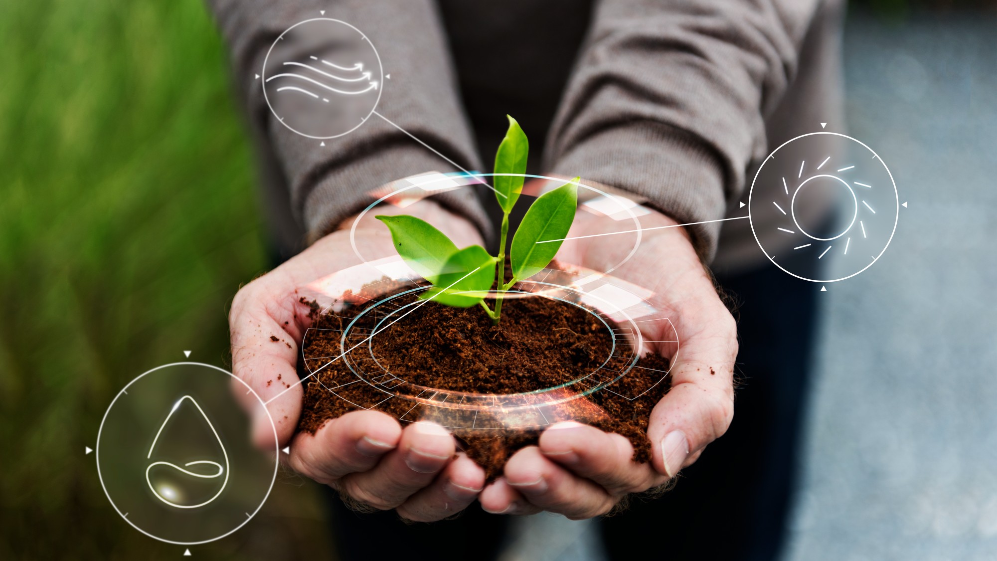 Biofertilizer testing