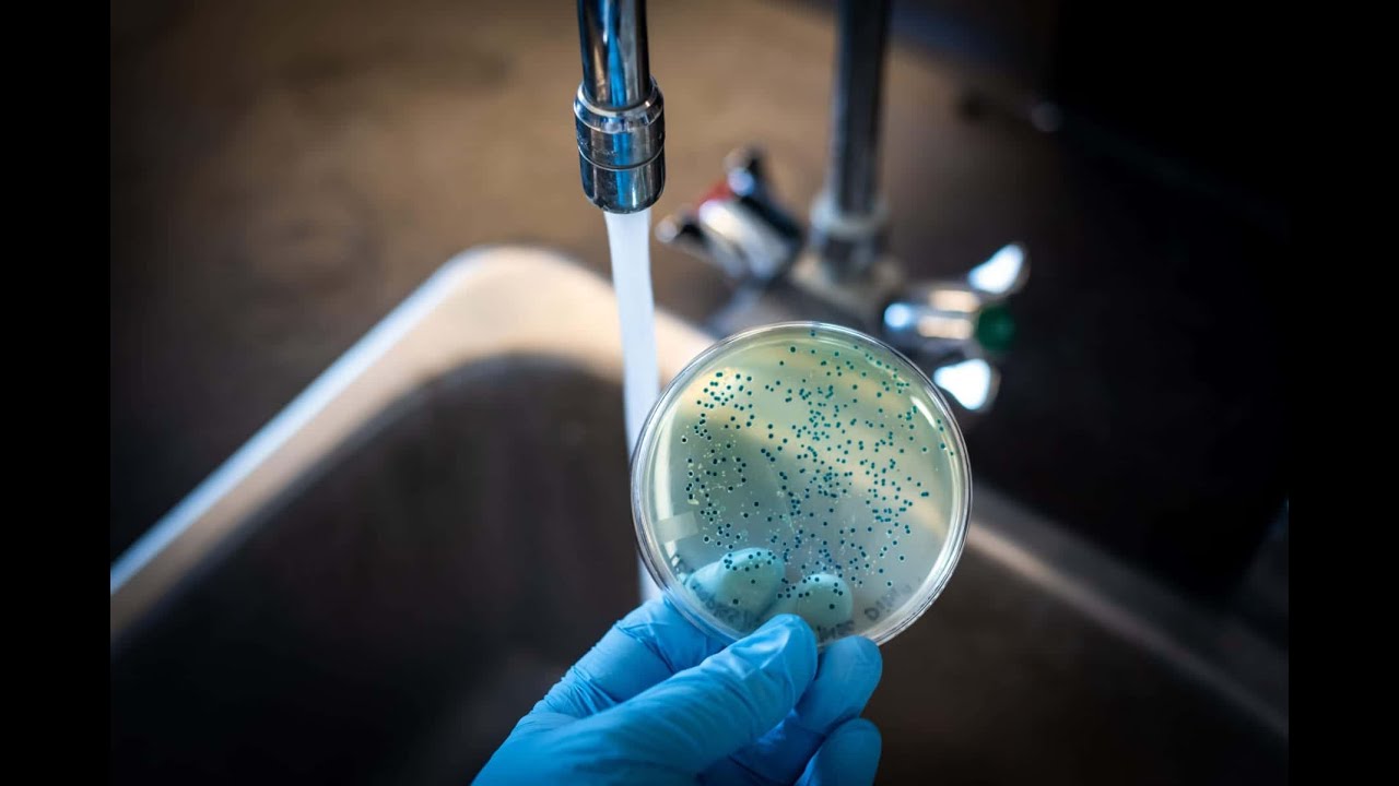Microbiological water testing
